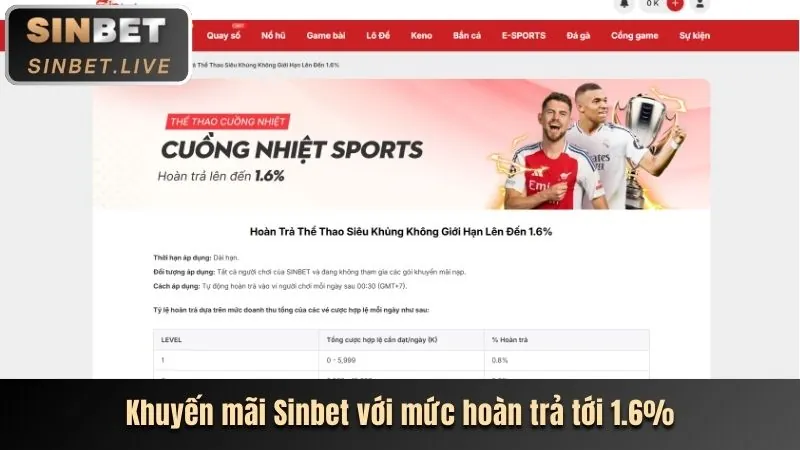 Tổng quan cá cược thể thao